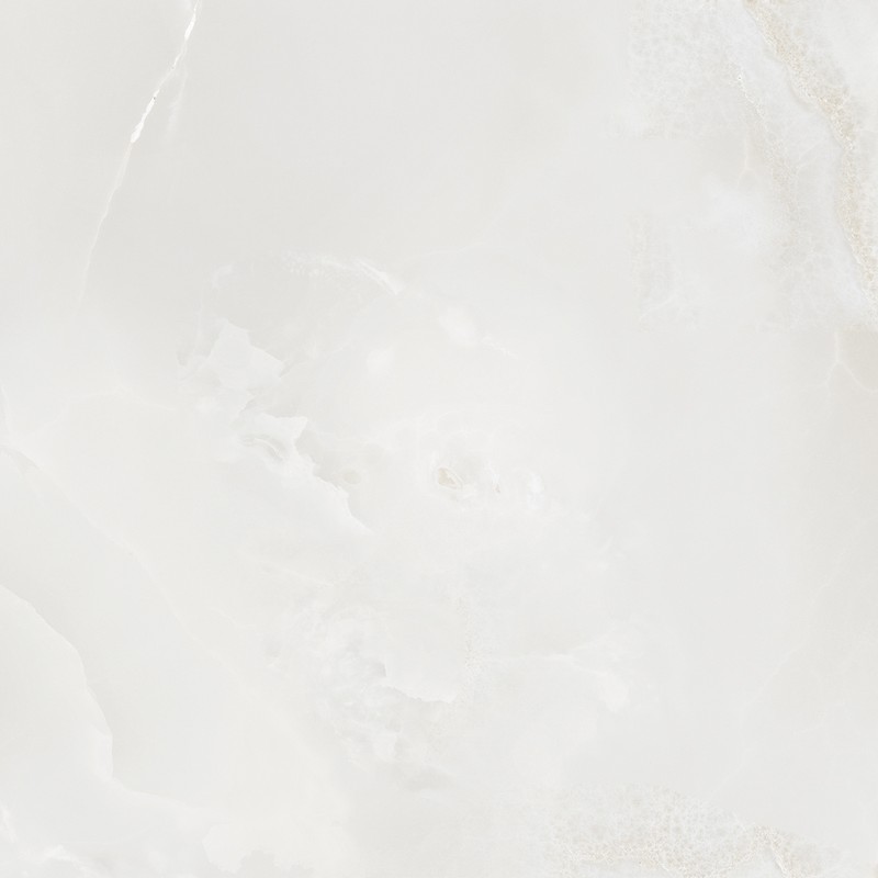 Dolce%20G-231